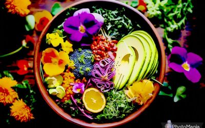 5 Compelling Reasons to Embrace a Plant-Based Diet