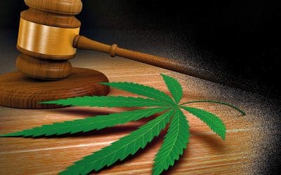 The Truth About Cannabis – Part II