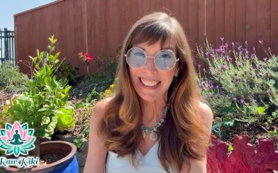 Your Wellness Immersion