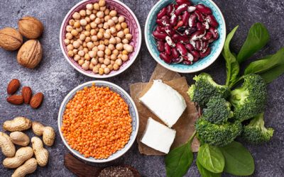 Plant-Based & Vegan Protein Essentials