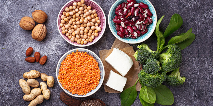 veg protein