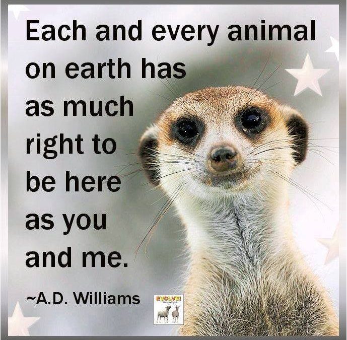 13645240 10208319159849881 6332397393233819519 n Copy