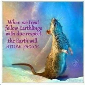 Earthlings respect equals peace Copy