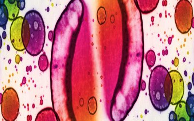 Spermidine―Defined