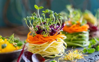 Sprouted Foods−Defined