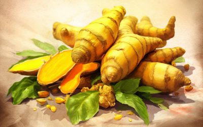 Ginger Benefits−Defined.